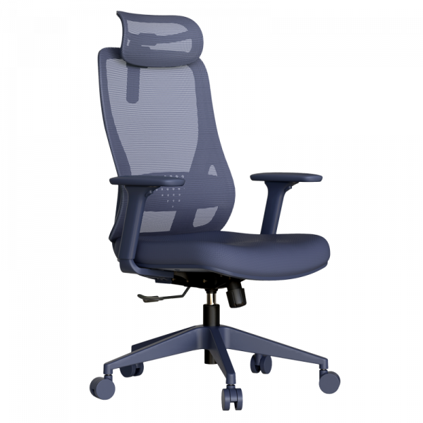 Син ергономичен стол.