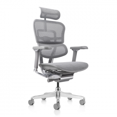 ЕРГОНОМИЧЕН СТОЛ  ERGOHUMAN 2 LUXURY GREY